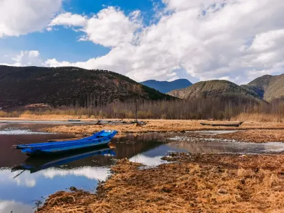 Bobby Casino Mobiele App